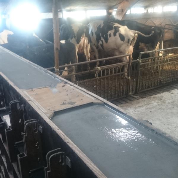 Betonwerken. Van bekistingen tot afwerken van beton.  | W. Dijkshoorn